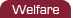 Welfare